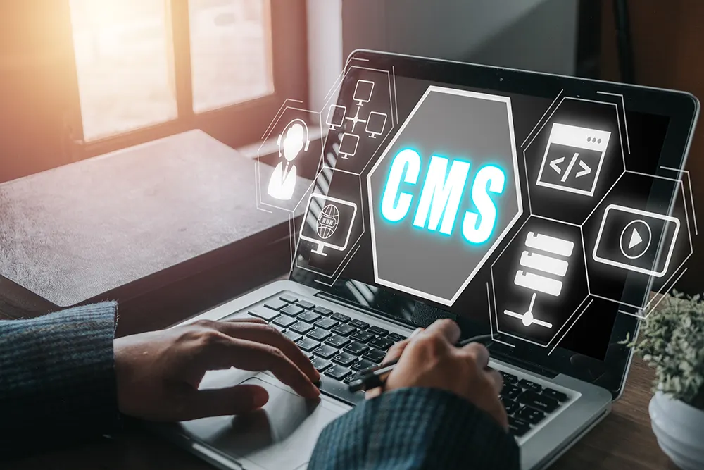 WordPress website development and Webflow design trends